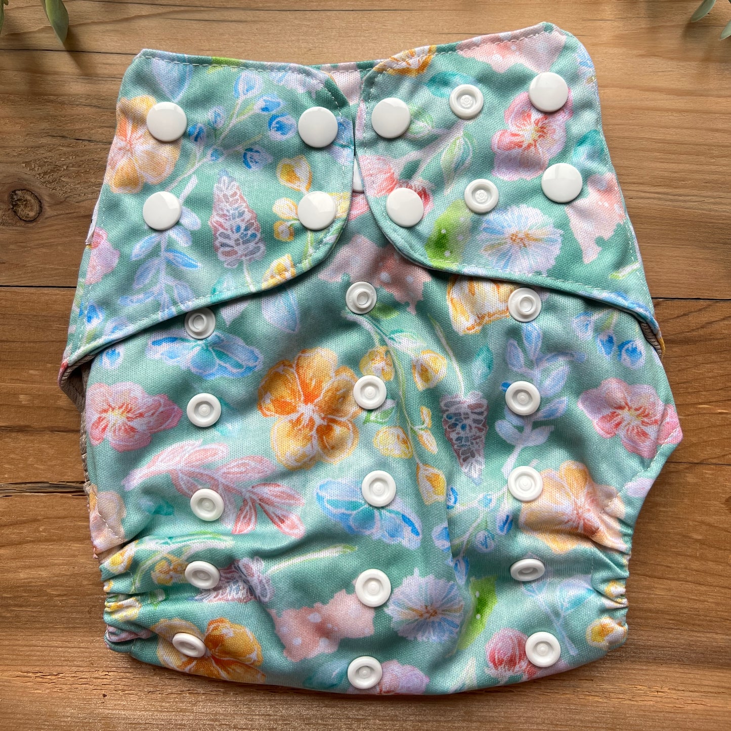 Pocket Pickings - OS Pocket Diaper