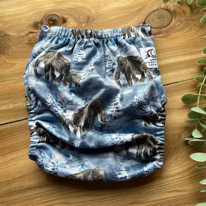 Ice Age - OS Pocket Diaper